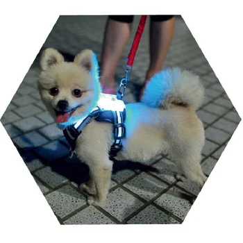 chicote de fios de luz cão led cc cimon Poliéster Harness Dog E Coleira