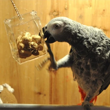 Animal de estimação do mundo de 2015, VENDA QUENTE Bonito aves pequenas alimentadores arylic papagaio quebra-cabeça brinquedos balanço frete Grátis