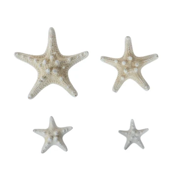 1Pc Estrelas do mar Branco Artesanato Decoração Dedo Estrela-do-mar de DIY, Decoração de Casamento Shell de Peixes do Mar do Partido Bege Estrela-do-mar de Artesanato