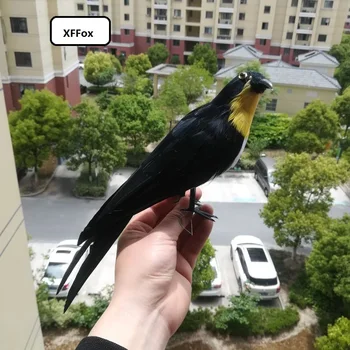 realistas Engolir pássaro modelo de polietileno&peles de simulação pássaro preto boneca de presente de cerca de 30cm xf0457